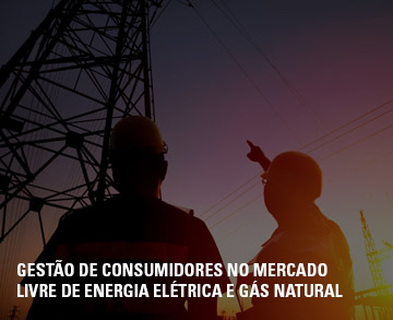 GESTÃO DE CONSUMIDORES NO MERCADO LIVRE DE ENERGIA ELÉTRICA E GÁS NATURAL
